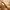 Personalized Engraved Acacia Bread Knife