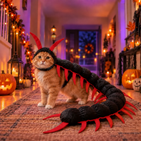 Halloween Cat Centipede Costume