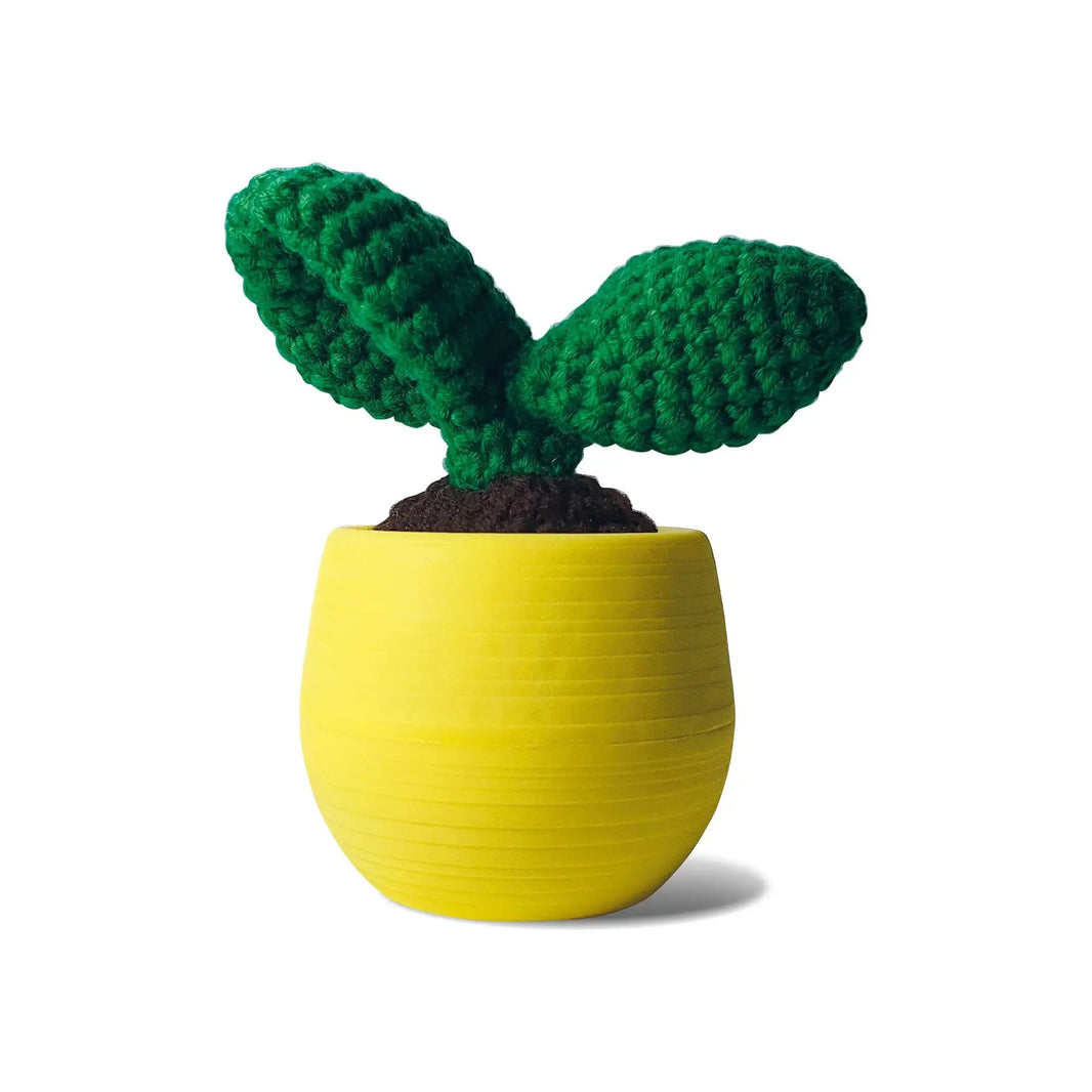 Cactus Leaf Crochet Kit For Beginners: Leaf