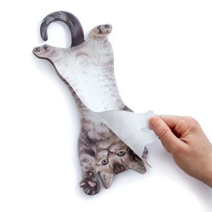 Cat Hanging Sticky Notes