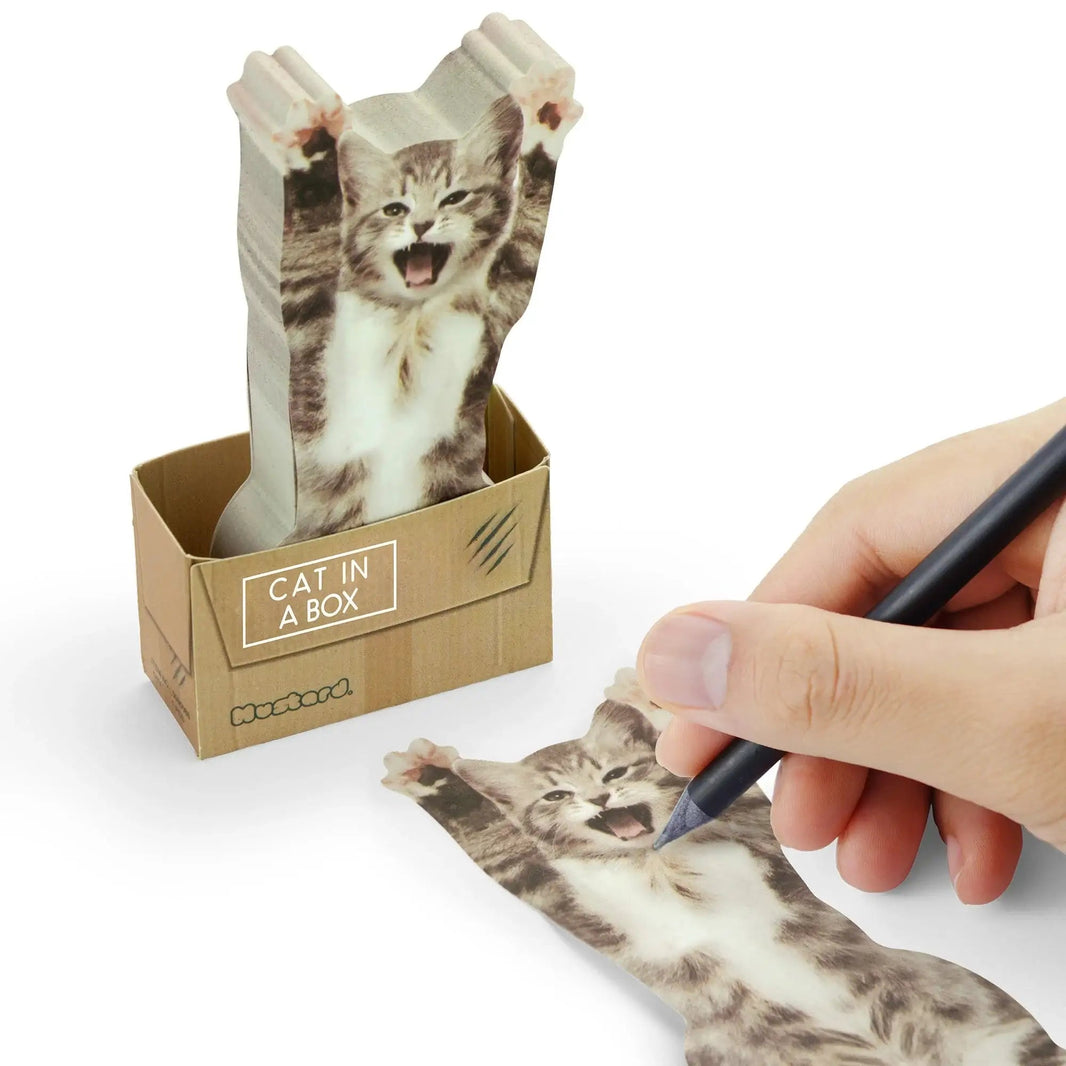 Cat In A Box Sticky Notes