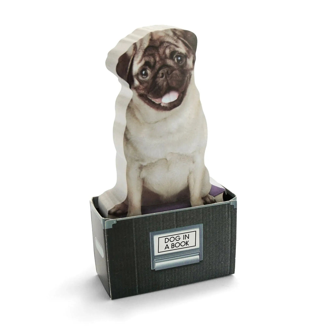 Dog In A Box Sticky Notes