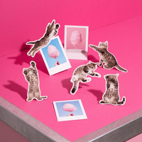 Fun Action Cat Magnets