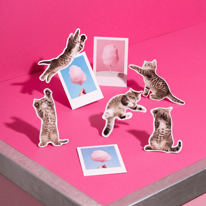Fun Action Cat Magnets
