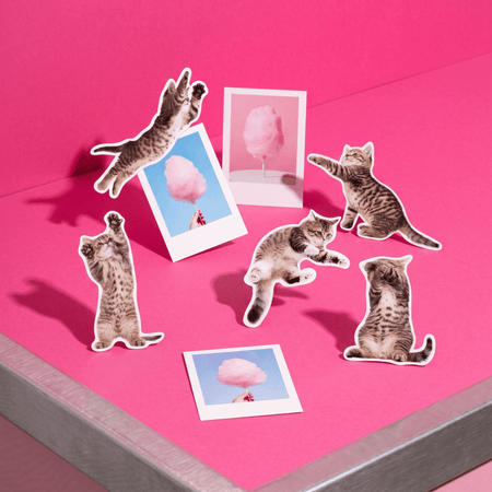 Fun Action Cat Magnets