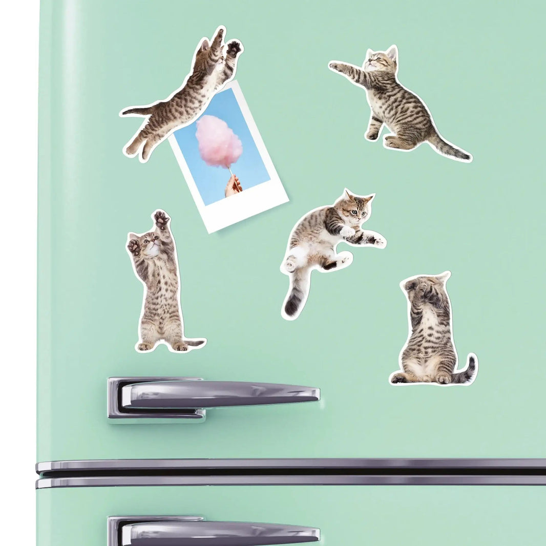 Fun Action Cat Magnets