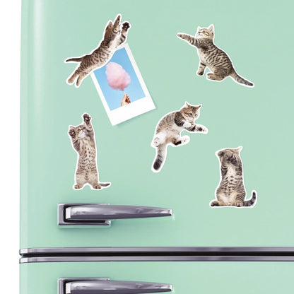 Fun Action Cat Magnets