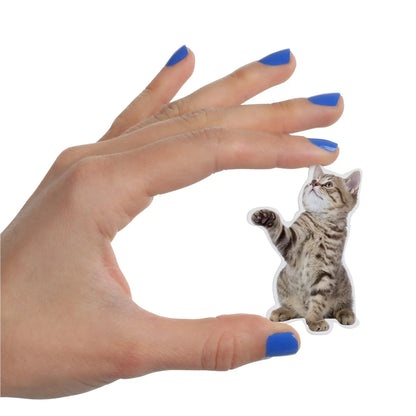 Fun Action Cat Magnets