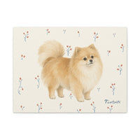 Cream Pomeranian Canvas