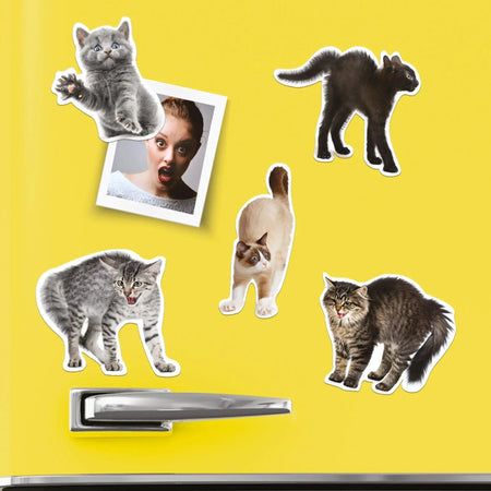Angsthase Kühlschrankmagnete