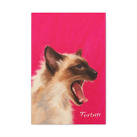 Bright Pink Cat Portrait
