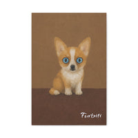Cute Kitten Portrait