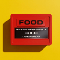 The Emergency Snack Box